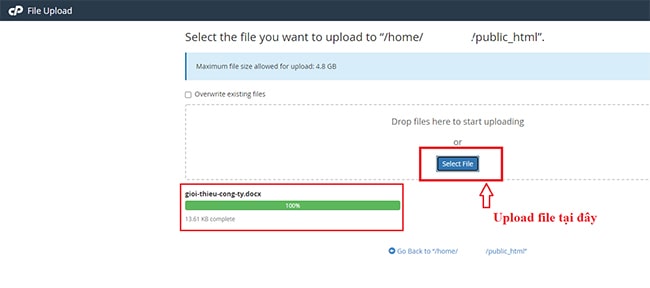 Hướng dẫn upload file trong thư mục public_html